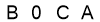 salt-89E4C490